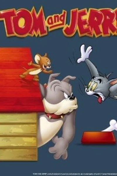 Tom Jerry: Tennispolare