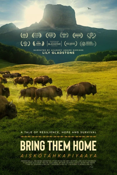 Buffalo Stone