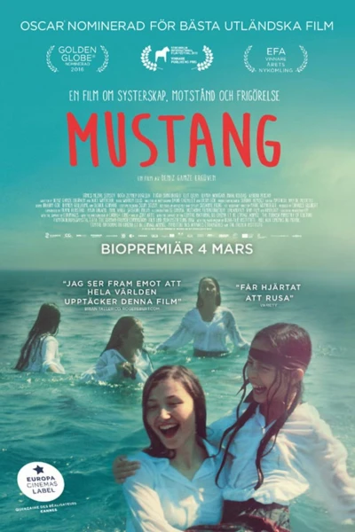 Mustang
