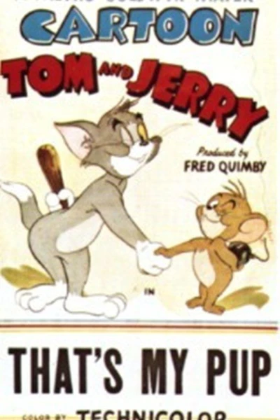 Tom Jerry: En sån valp!