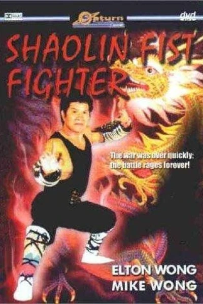 Shaolin Fist Fighter