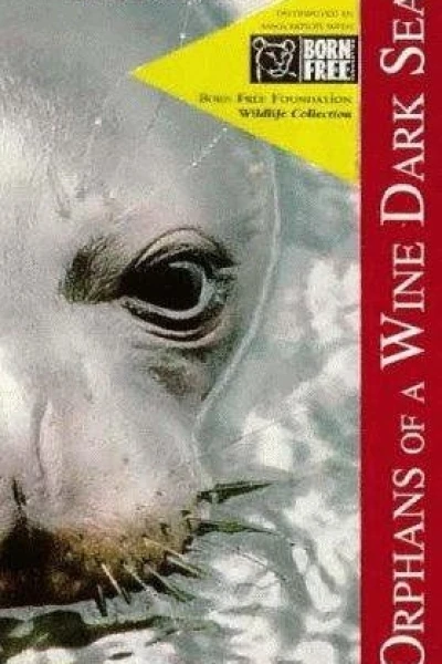 Orphans of a Wine Dark Sea