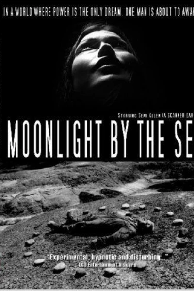 Moonlight by the Sea