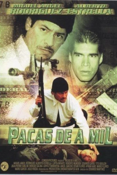 Pacas de a mil