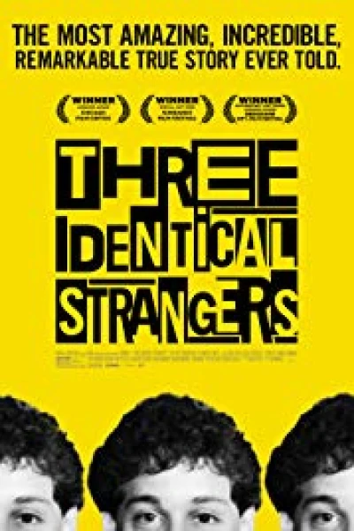 Three Identical Strangers