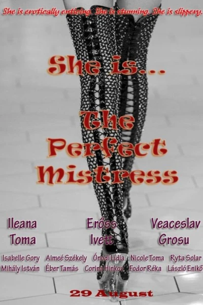 The Perfect Mistress