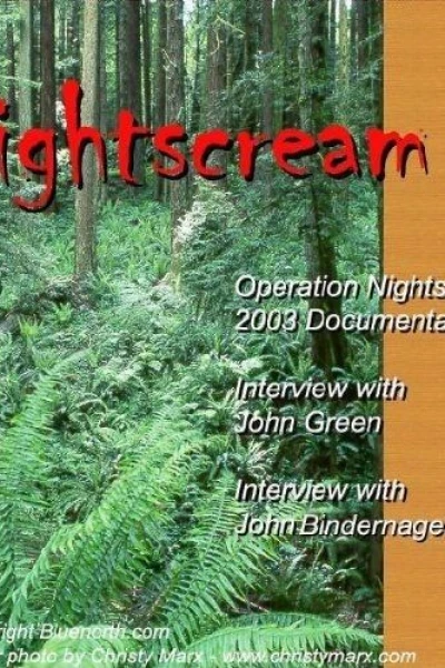 Operation Nightscream 2003