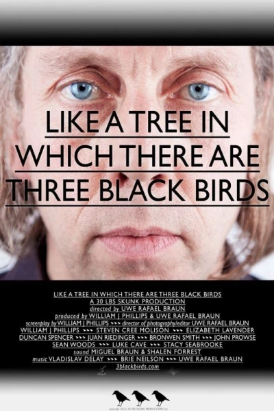 Like a Tree in Which There Are Three Black Birds