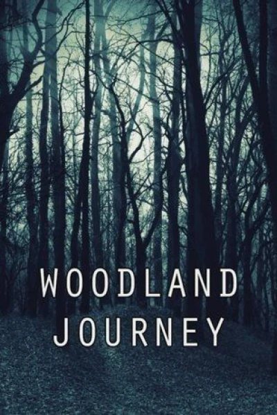 Woodland Journey