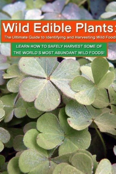 Wild Edible Plants: The Ultimate Guide to Identifying and Harvesting Wild Food!