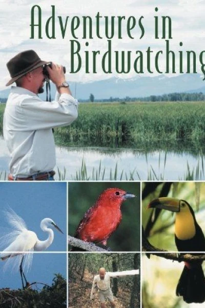 Adventures in Birdwatching