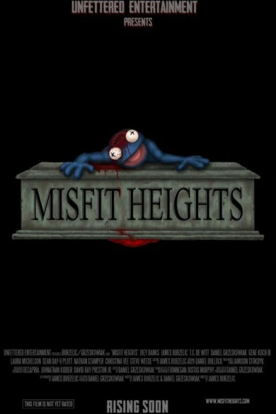 Misfit Heights