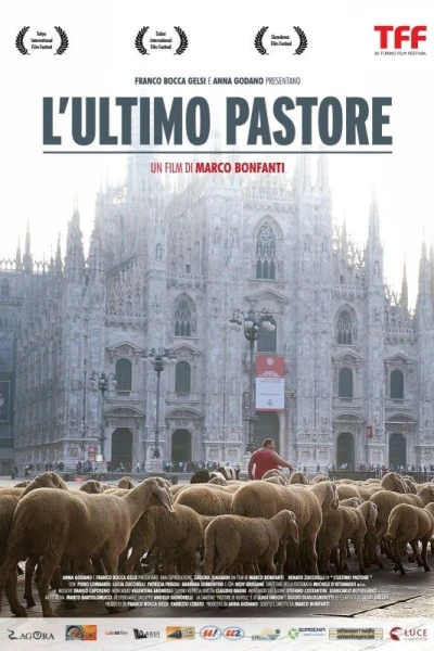 The Last Shepherd