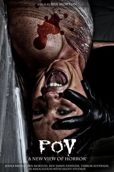 P.O.V: Point of View