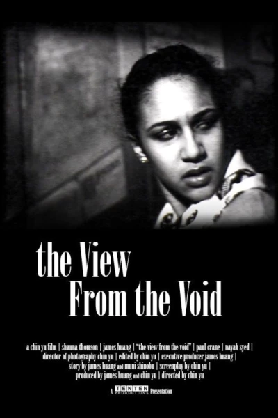 The View from the Void