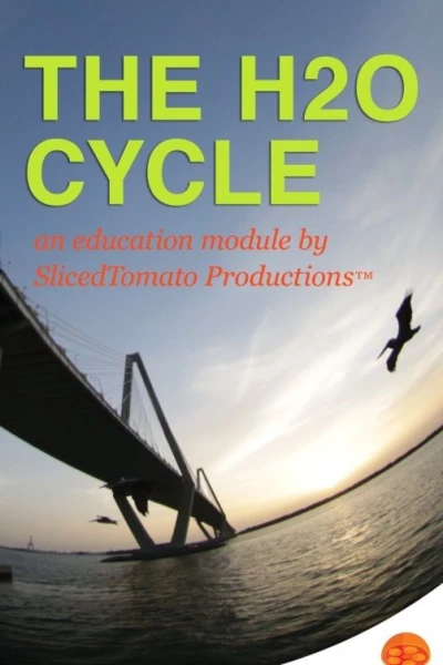 The H2O Cycle