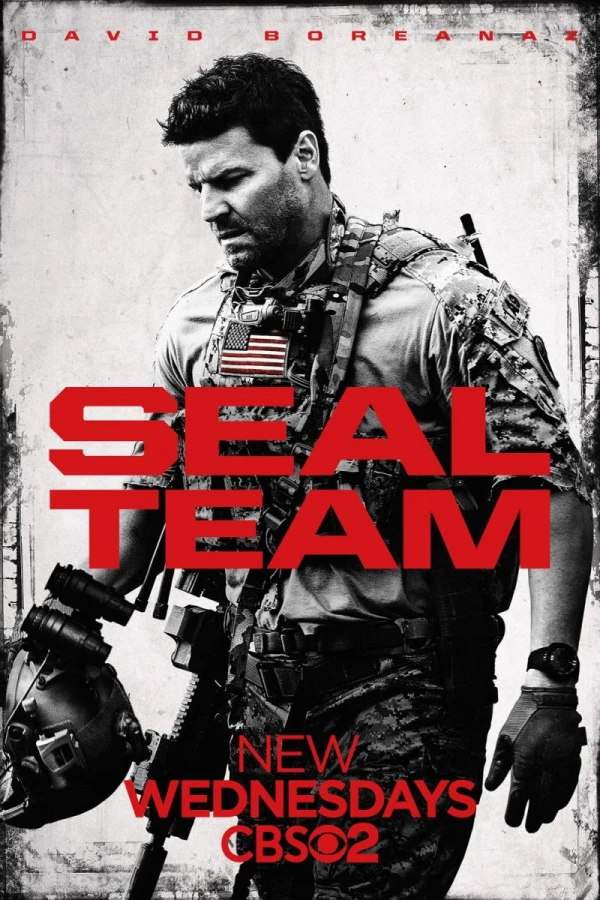 SEAL Team Poster