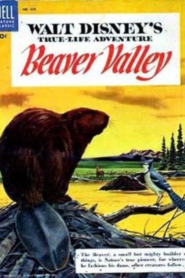 Beaver Valley Poster