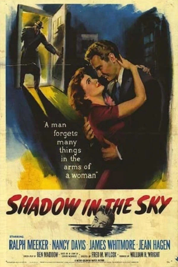 Shadow in the Sky Poster