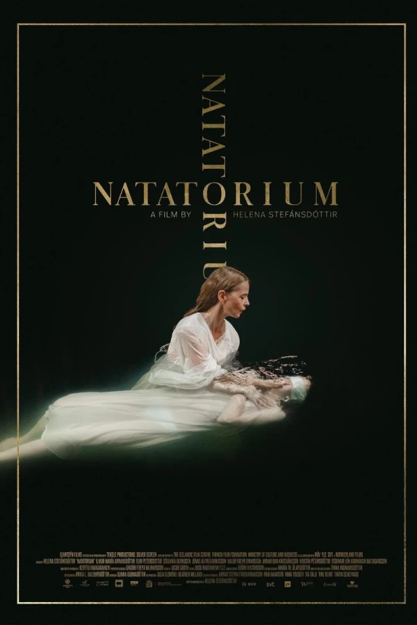 Natatorium Poster