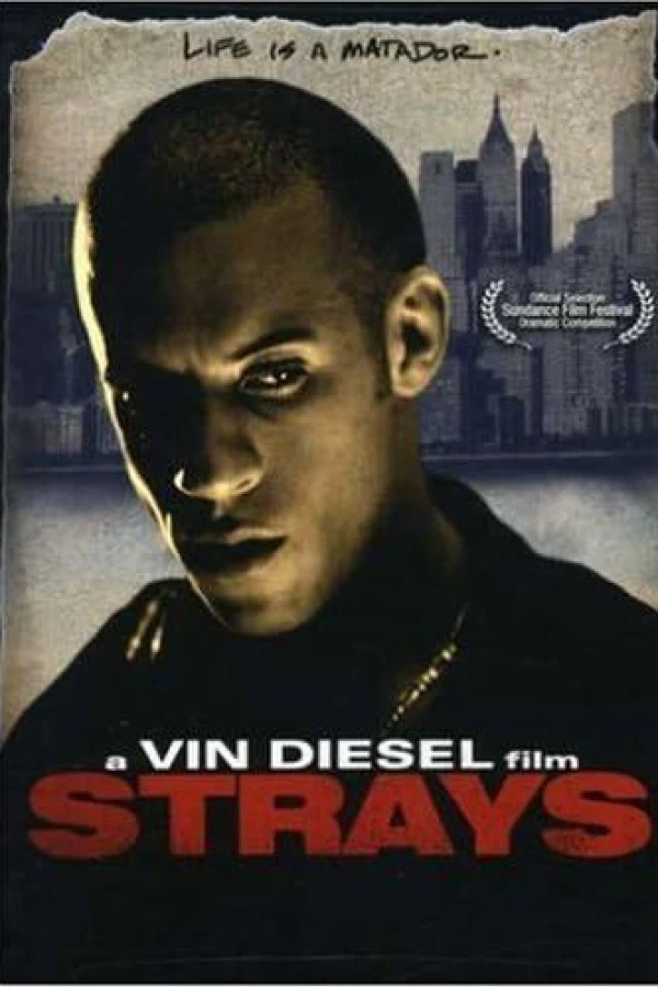 Strays Poster