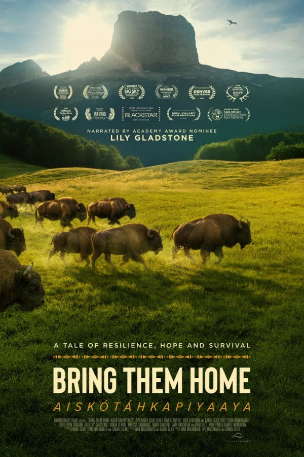 Buffalo Stone Poster