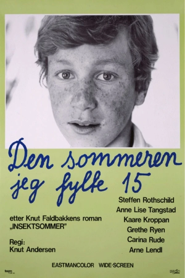 Den sommeren jeg fylte 15 Poster