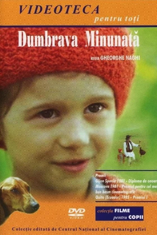 Dumbrava minunata Poster