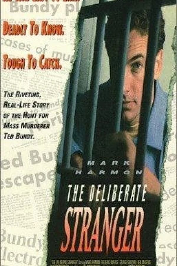 The Deliberate Stranger Poster