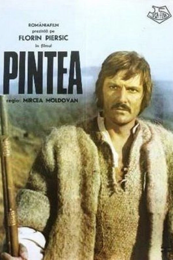 Pintea Poster