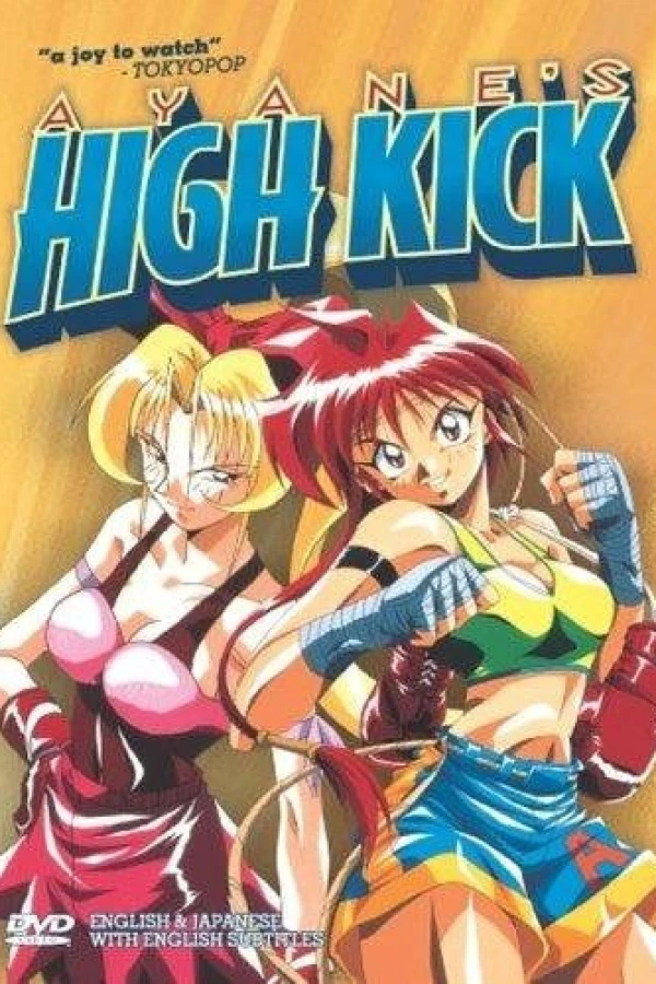 Ayane's High Kick Poster