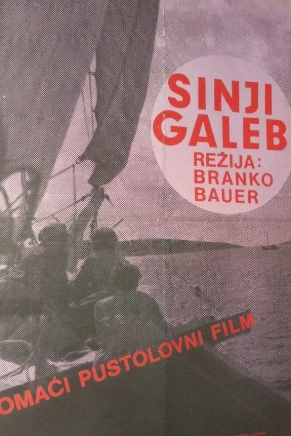 Sinji galeb Poster