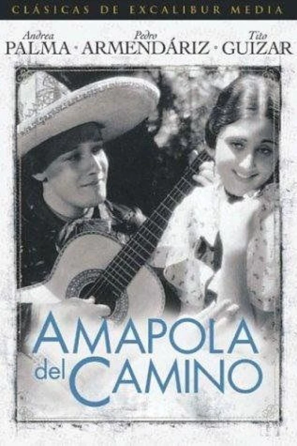 Amapola del camino Poster