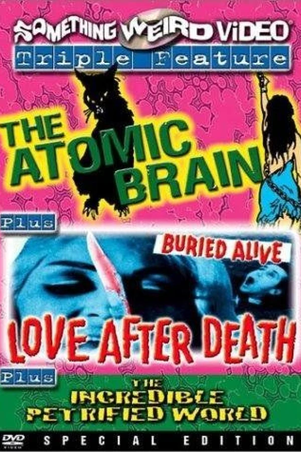 Love After Death Poster