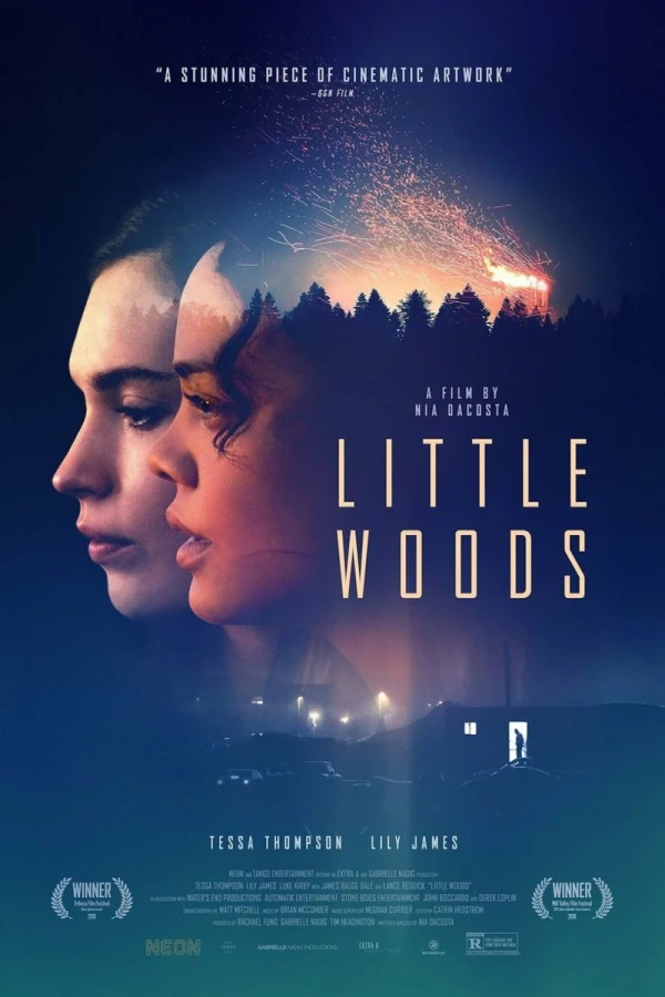 Little Woods Poster