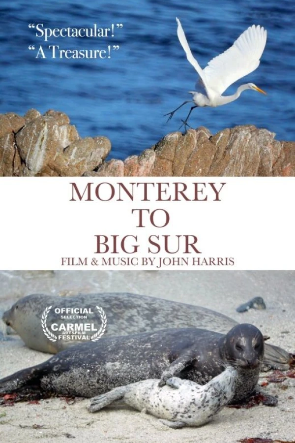 Monterey to Big Sur Poster