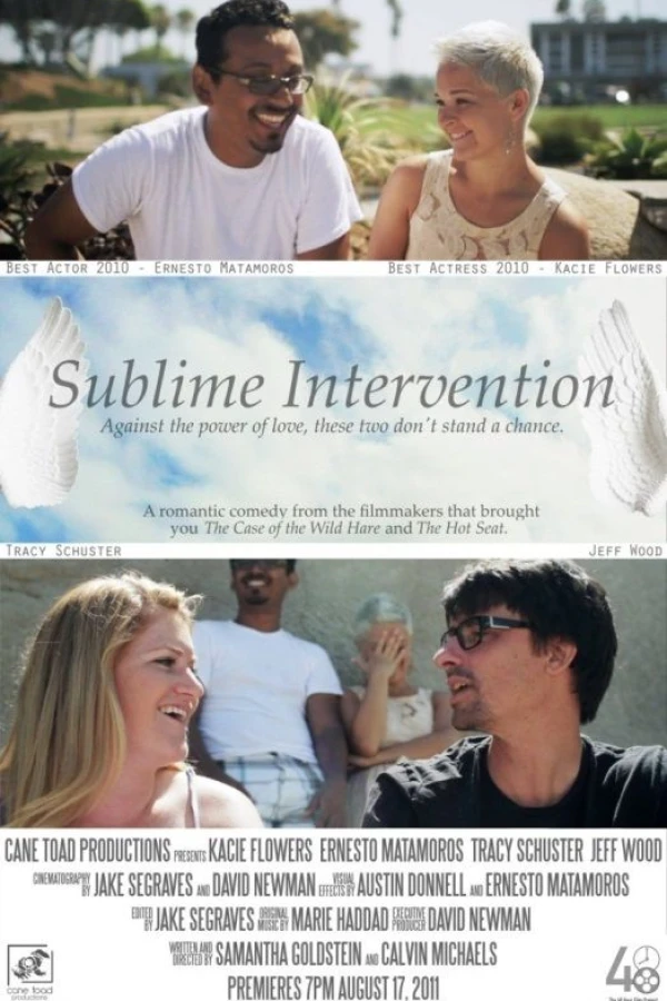 Sublime Intervention Poster