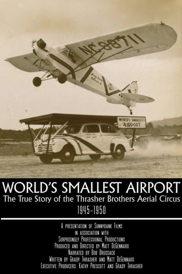 World's Smallest Airport Poster