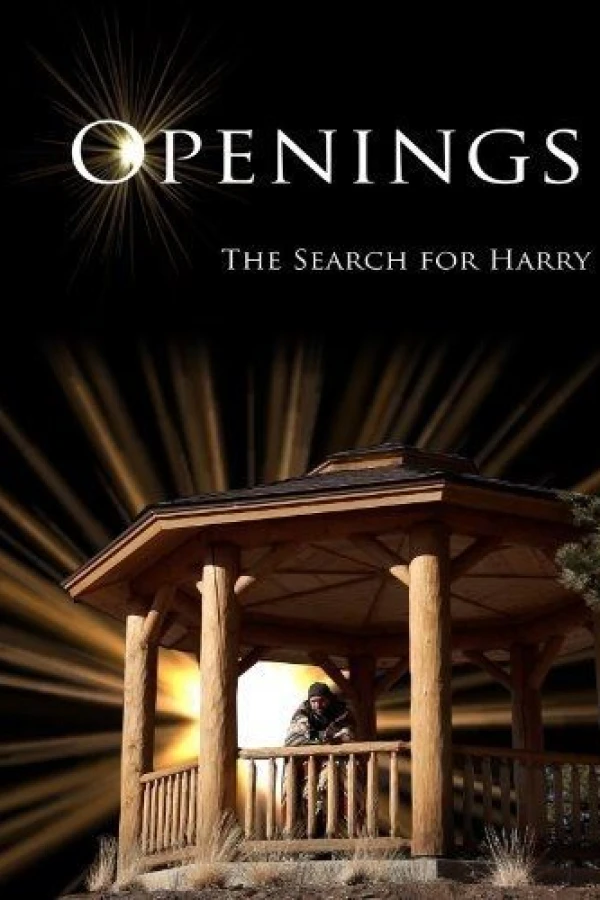 Openings: The Search for Harry Poster