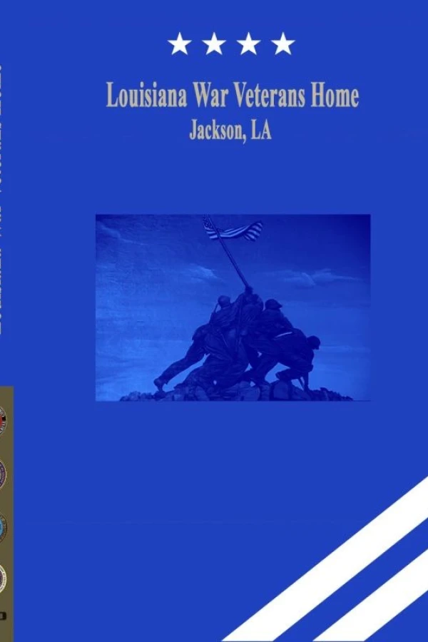 The Veteran Story Poster