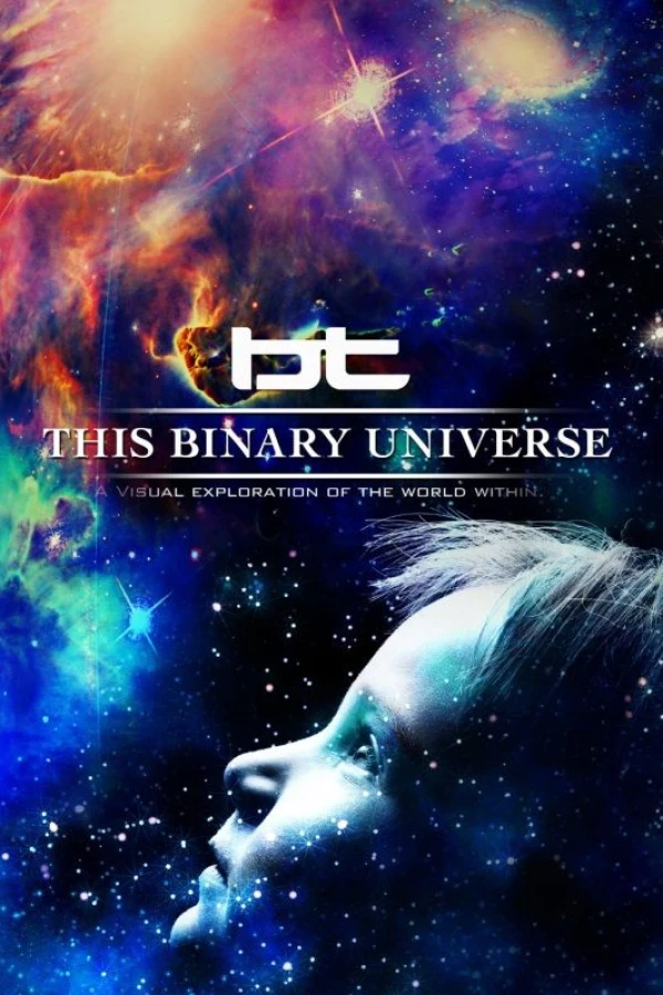 This Binary Universe Poster