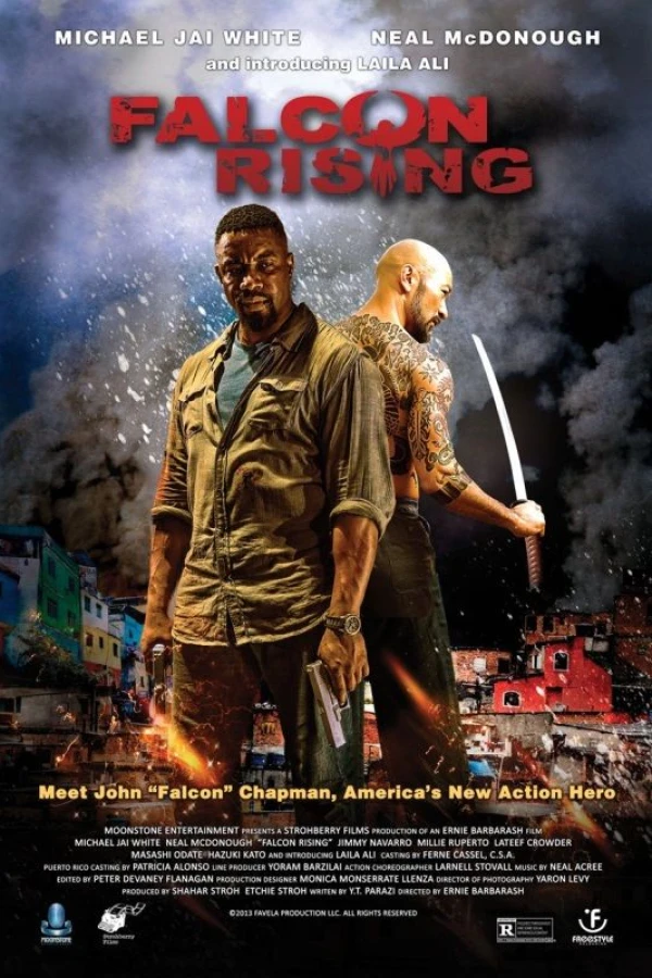 Falcon Rising Poster