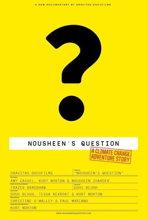 Nousheen's Question Poster