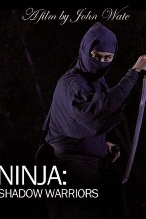 Ninja Shadow Warriors Poster