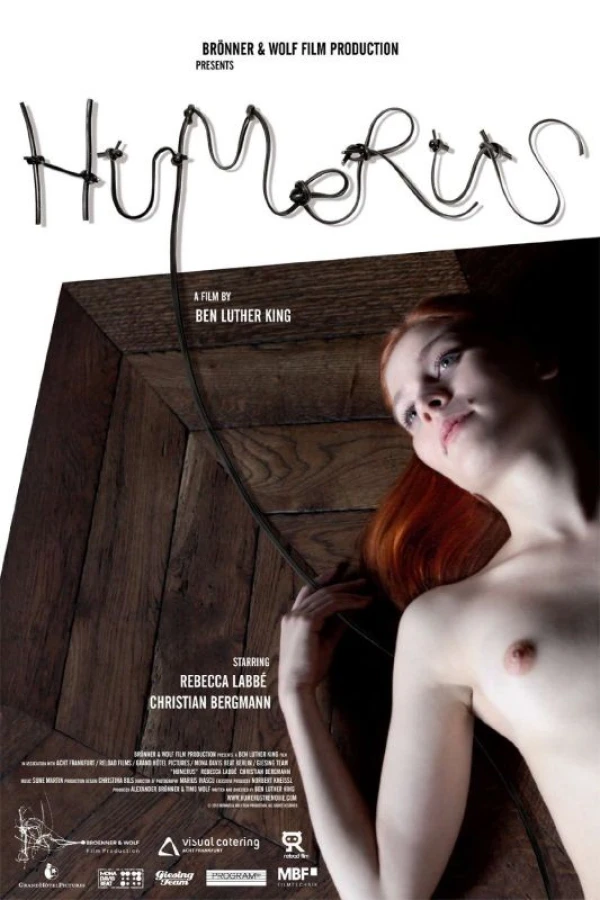 Humerus Poster