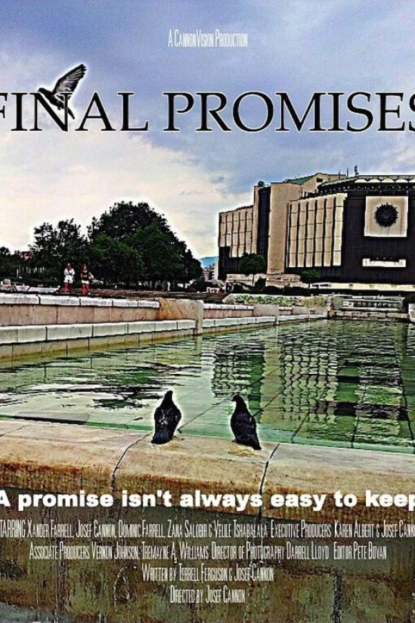 Final Promises Poster