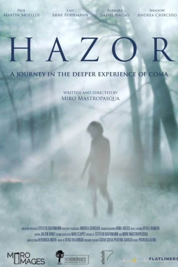 Hazor Poster