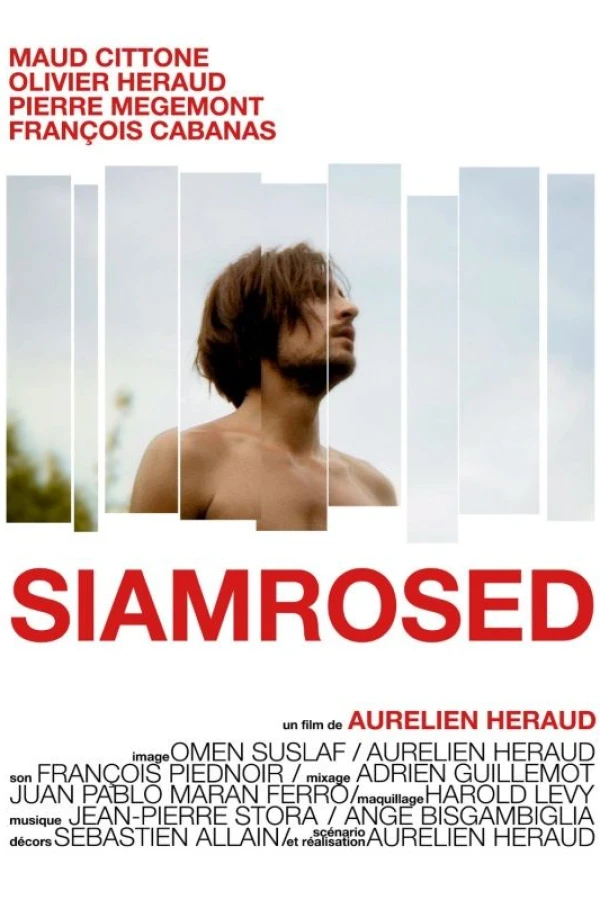 Siamrosed Poster