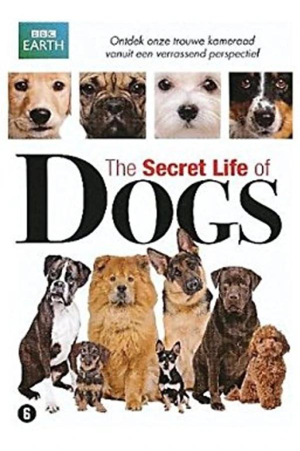 Secret Life of Dogs Poster