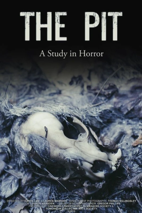 The Pit: A Study in Horror Poster